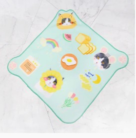 O que é toalha mágica?